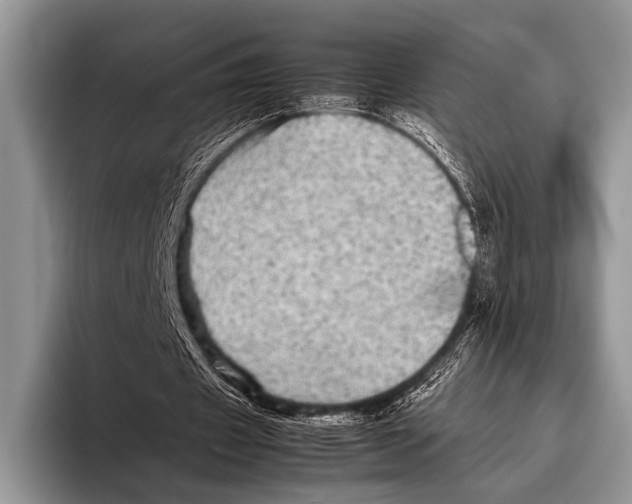 X0000095940433200802081240