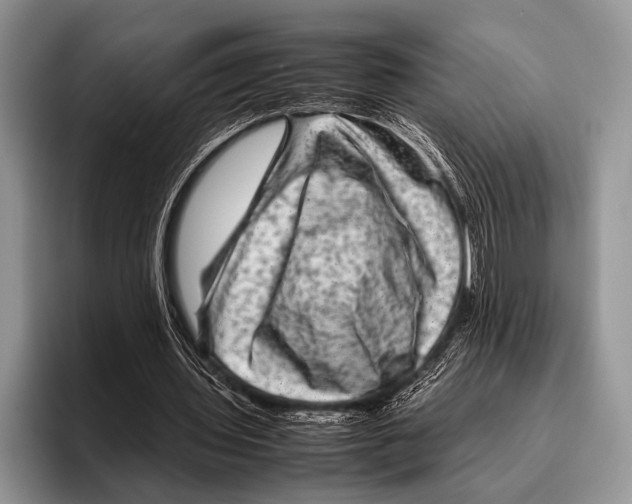 X0000095940435200802081240