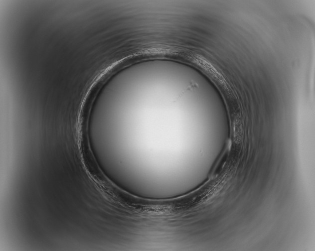 X0000095940436200802081240