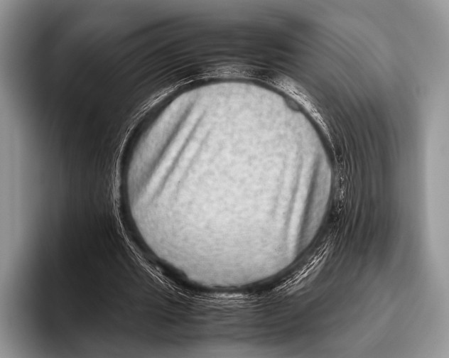 X0000095940437200802081240