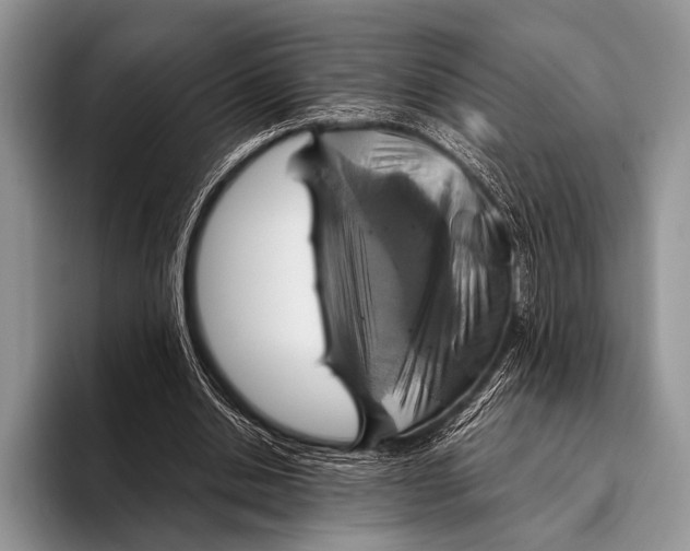 X0000095940438200802081240