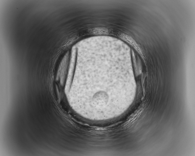 X0000095940441200802081240