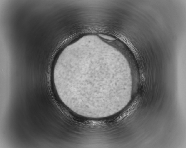 X0000095940442200802081240