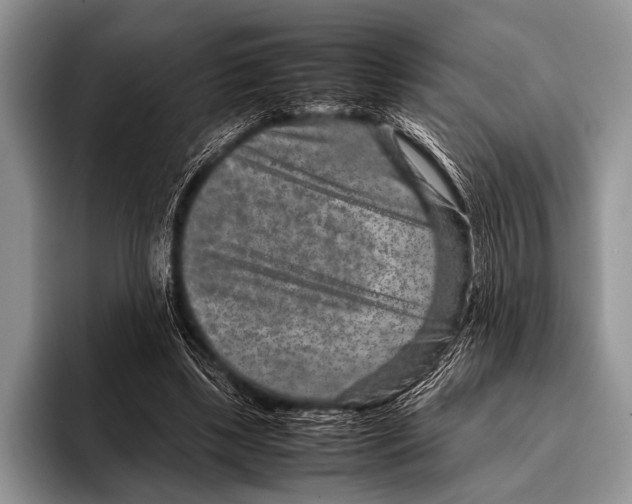 X0000095940443200802081240