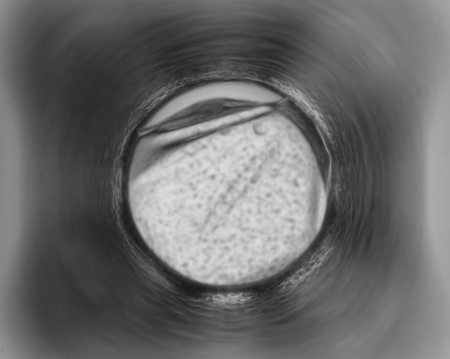 X0000095940445200802081240