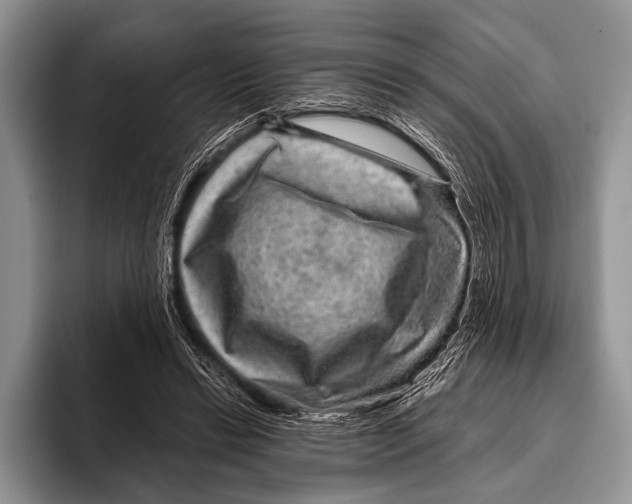 X0000095940446200802081240