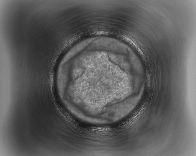 X0000095940447200802081240