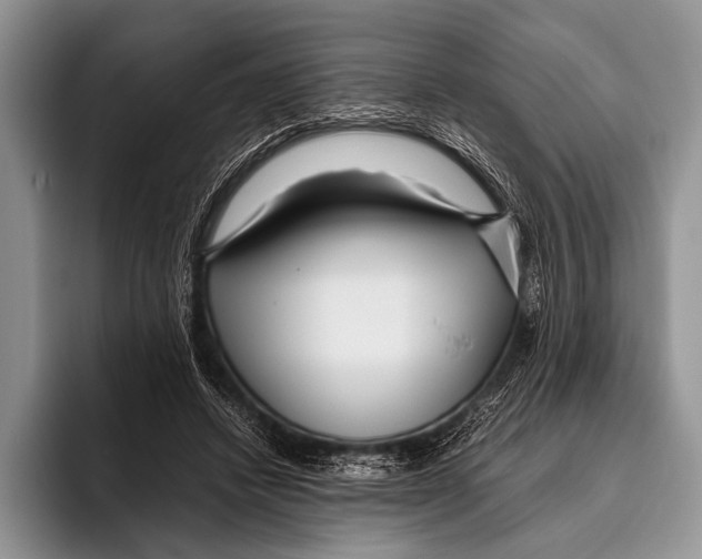 X0000095940448200802081240