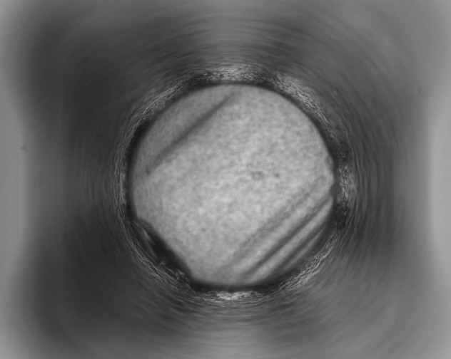 X0000095940450200802081240