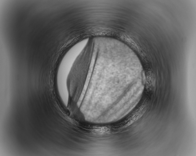 X0000095940454200802081240