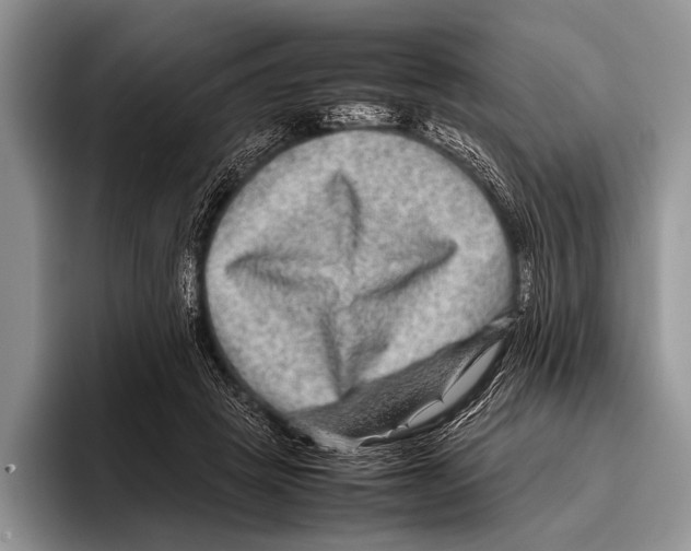 X0000095940457200802081240