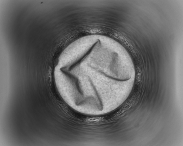 X0000095940461200802081241