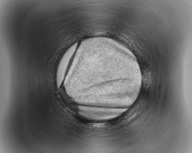 X0000095940462200802081241