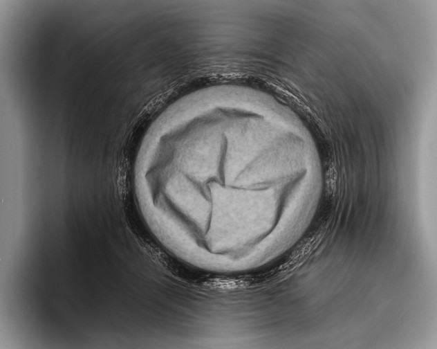 X0000095940464200802081241