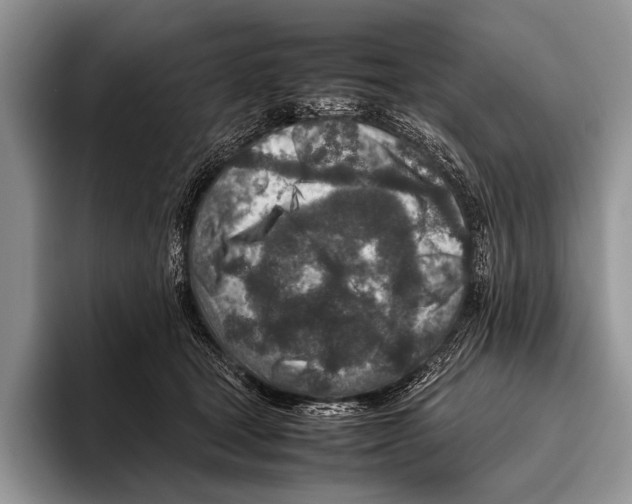 X0000095940465200802081241