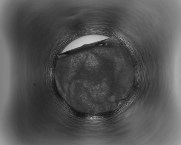 X0000095940467200802081241