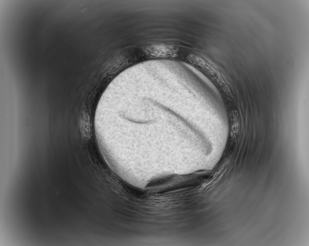 X0000095940469200802081241