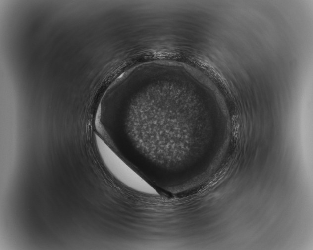 X0000095940471200802081241