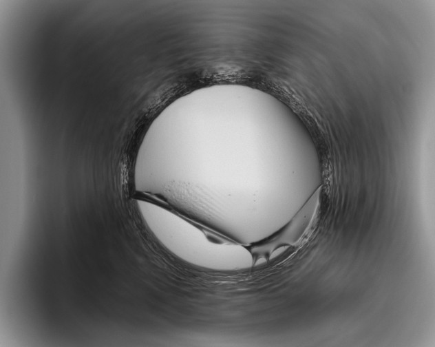 X0000095940472200802081241