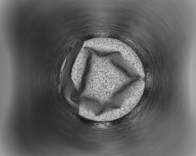 X0000095940474200802081241