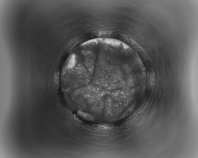 X0000095940475200802081241