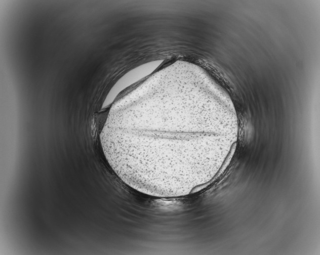 X0000095940477200802081241