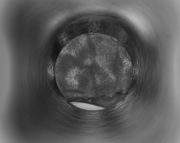 X0000095940479200802081241