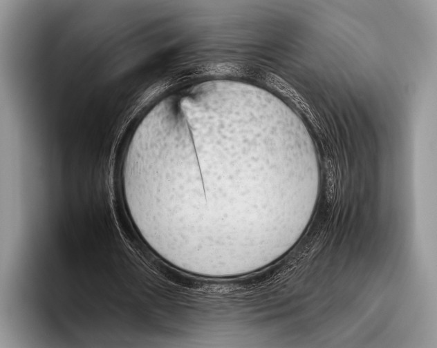 X0000095940482200802081240