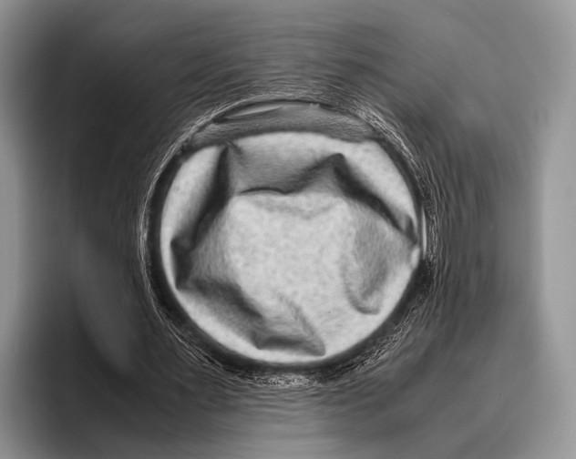 X0000095940483200802081240