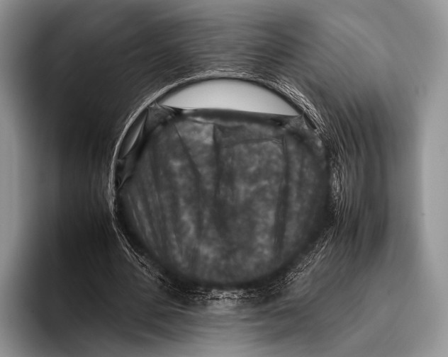 X0000095940484200802081240