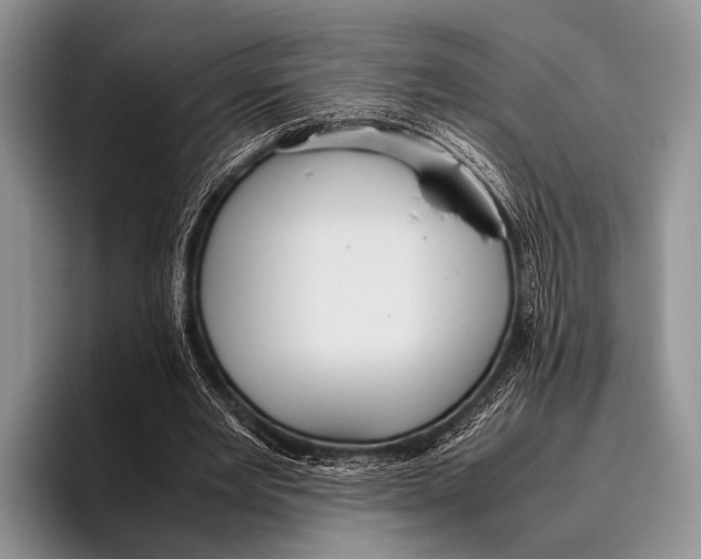 X0000095940485200802081240