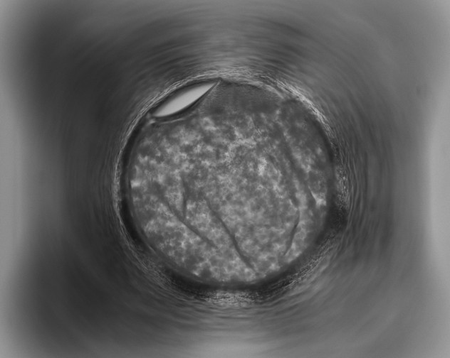 X0000095940487200802081240