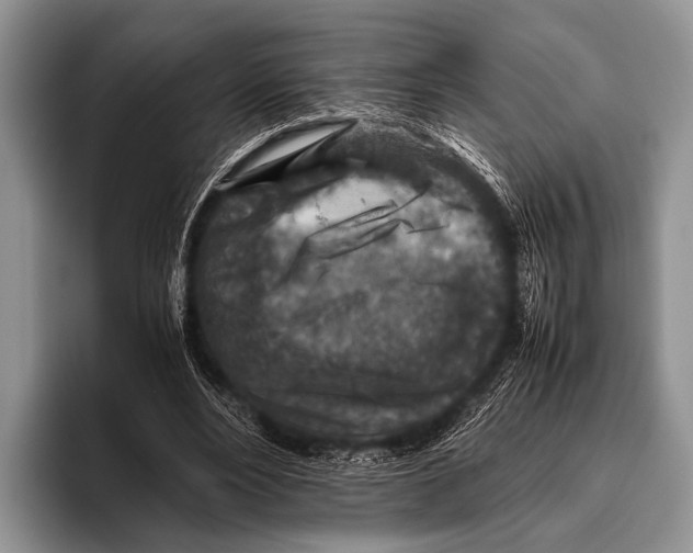 X0000095940488200802081240