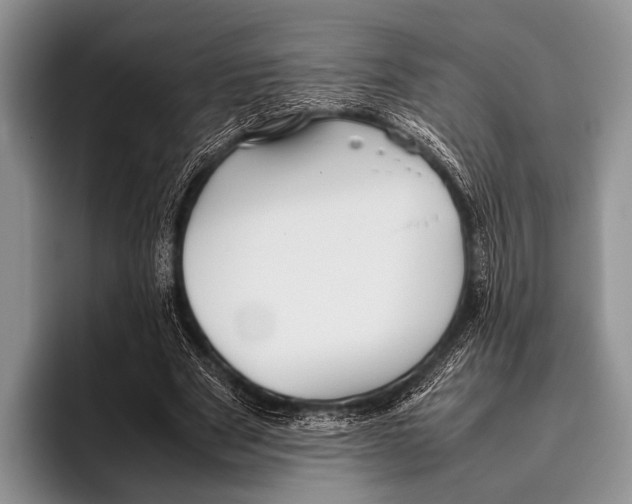 X0000095940489200802081240