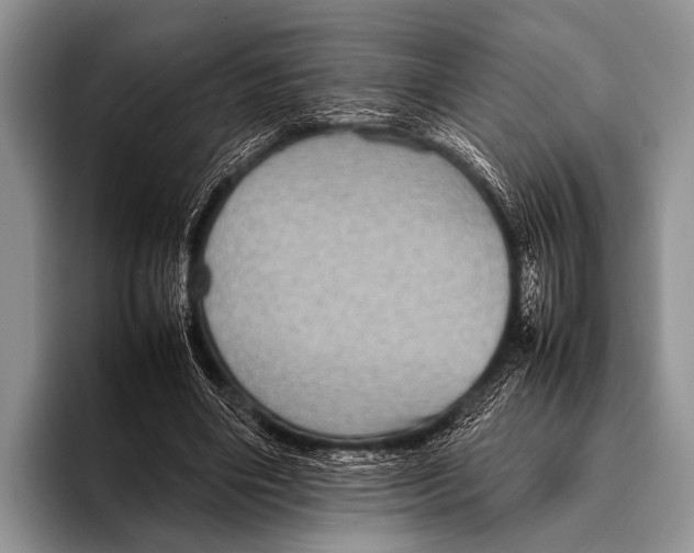 X0000095940490200802081240