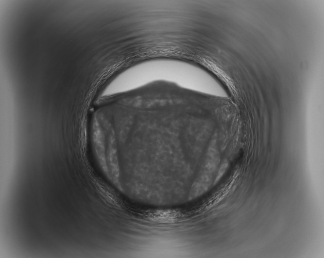 X0000095940493200802081240