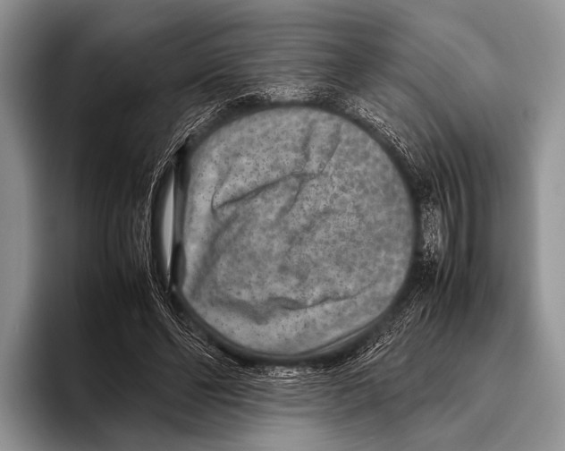 X0000095940494200802081240