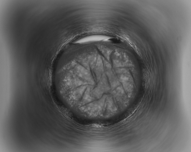 X0000095940496200802081240