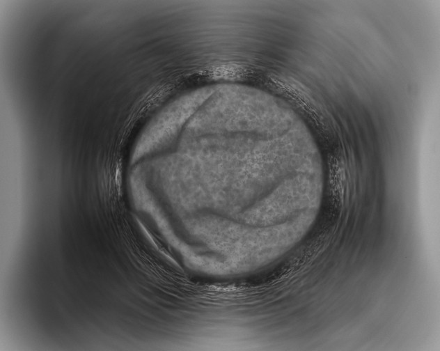 X0000095940502200802081240