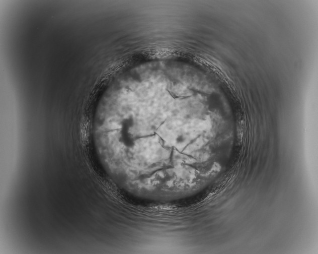 X0000095940503200802081240