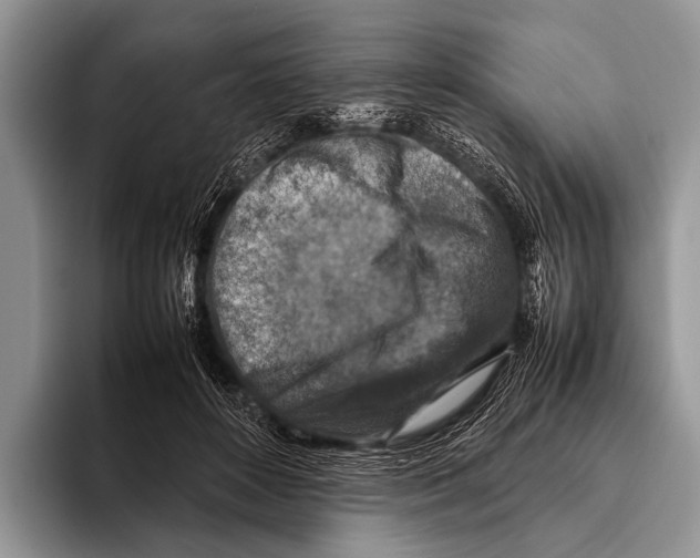 X0000095940504200802081240