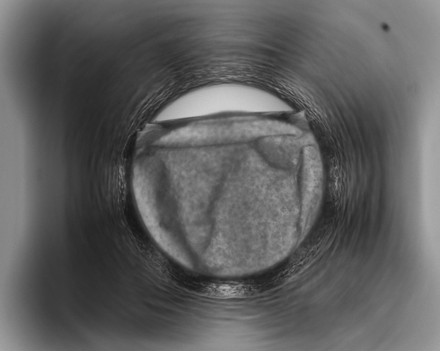 X0000095940506200802081240