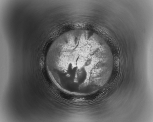 X0000095940507200802081240