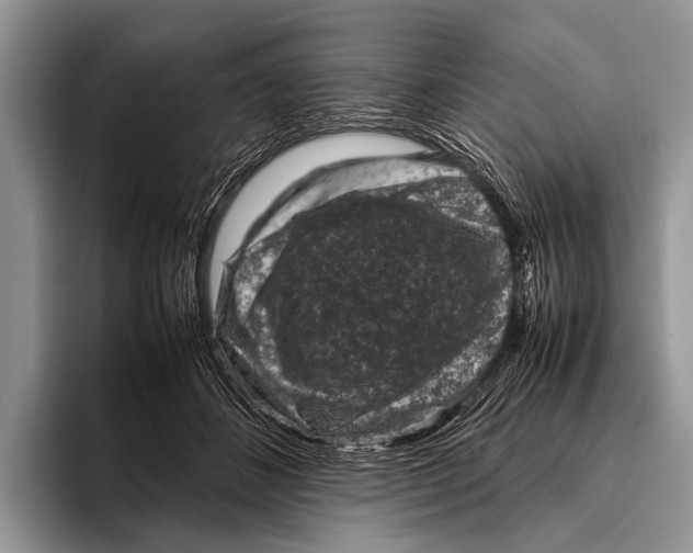 X0000095940508200802081240