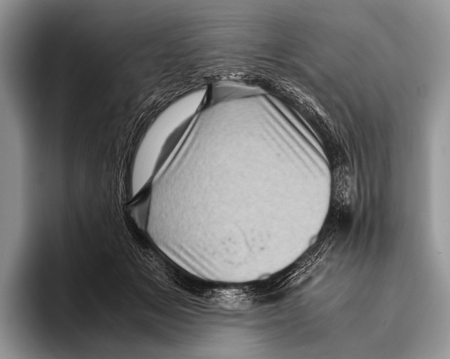 X0000095940509200802081240