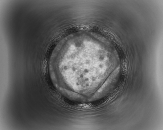 X0000095940511200802081240