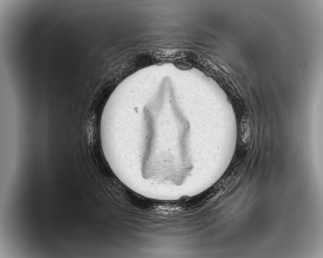 X0000095940515200802081240