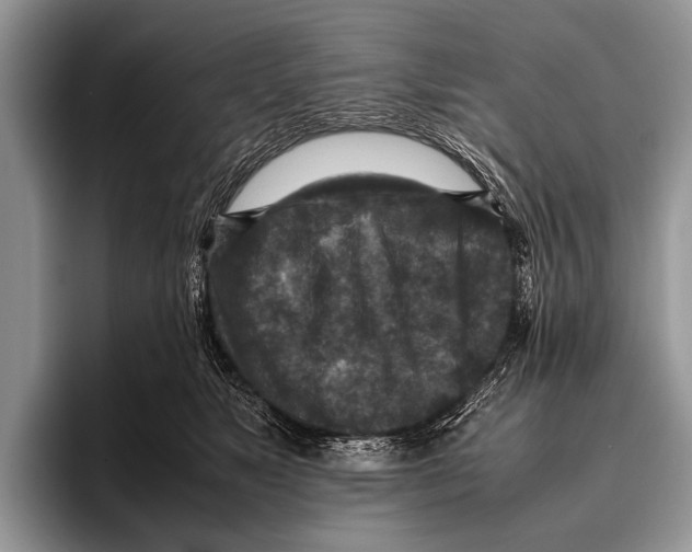 X0000095940517200802081240