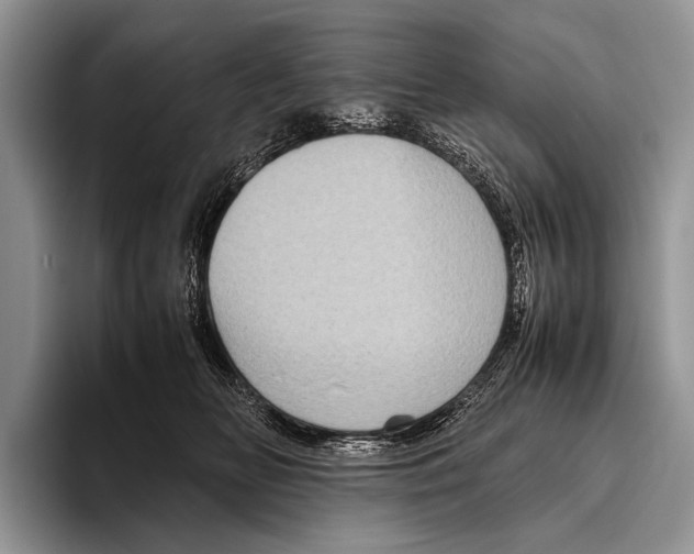 X0000095940518200802081240