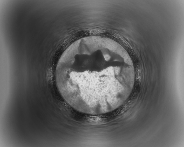 X0000095940519200802081240